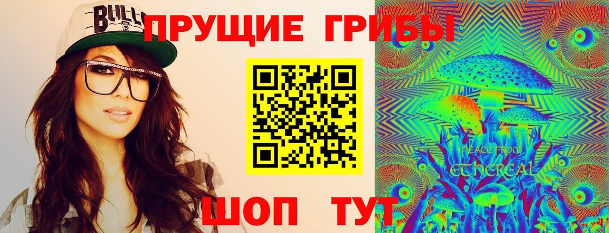 даркнет сайт  Псилоцибиновые грибы Psilocybe  Вход с VPN  Губкин 