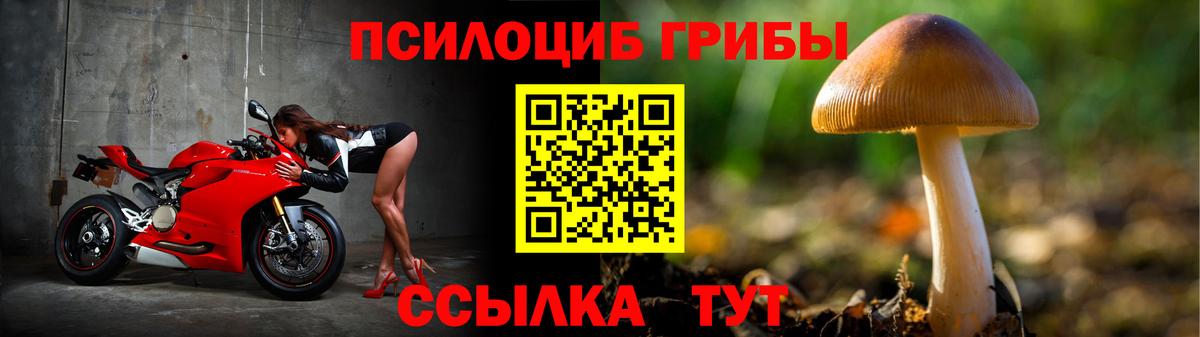 Псилоцибиновые грибы GOLDEN TEACHER Губкин